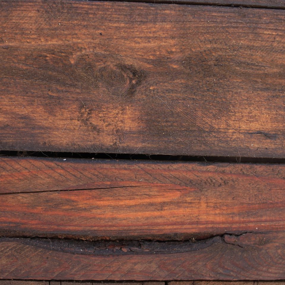 Cedro - Palo blanco - otras